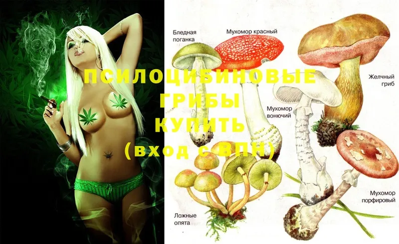 OMG онион  как найти   Котово  Галлюциногенные грибы Psilocybe 